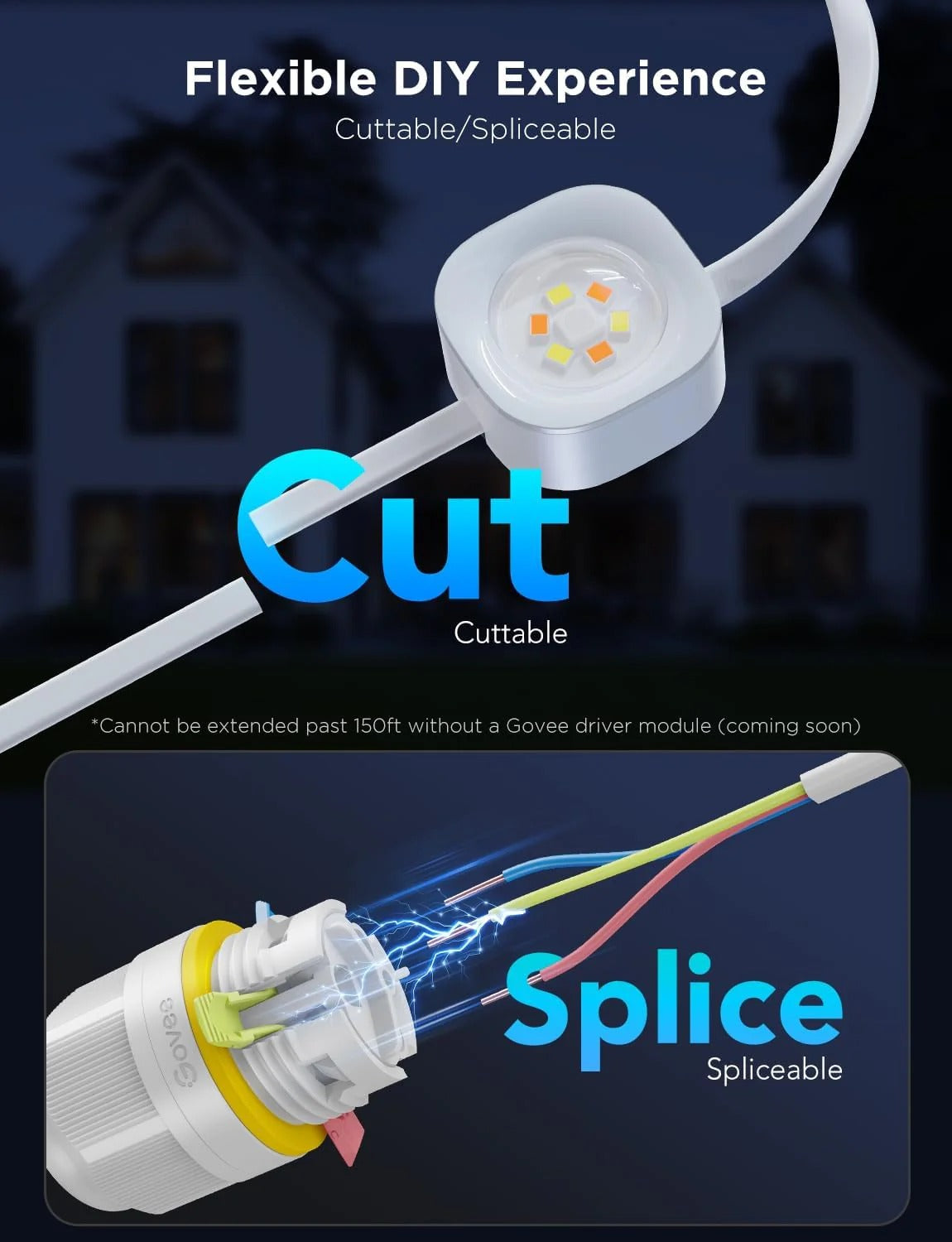 permanent Outdoor LED Lights