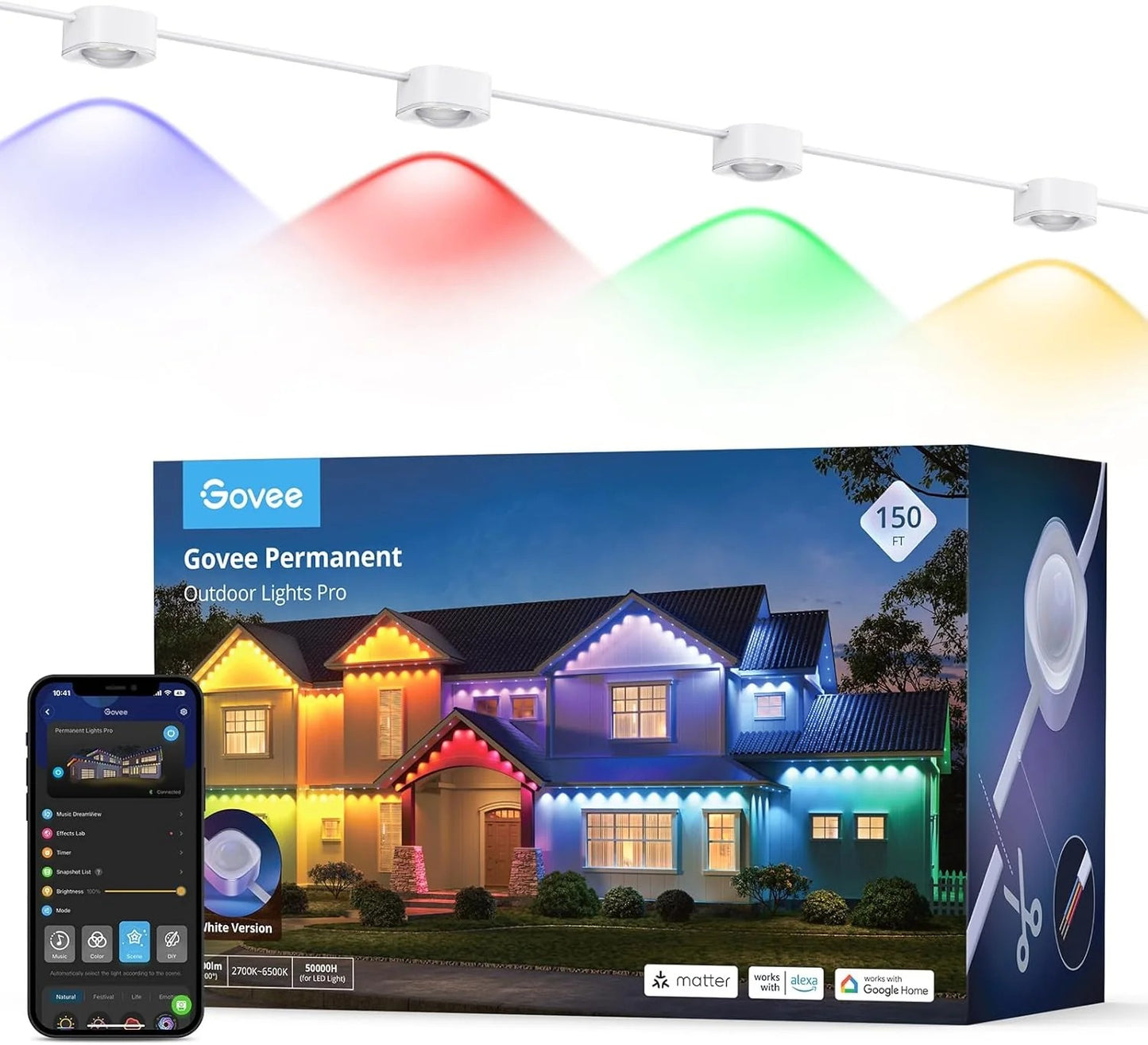 permanent Outdoor LED Lights